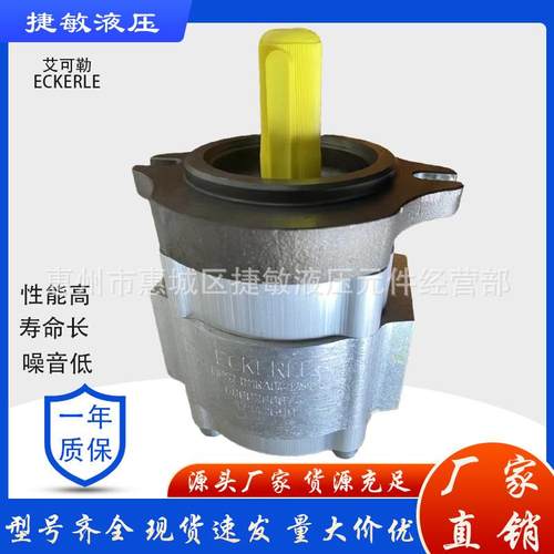 德国艾可勒ECKERLE系列齿轮泵EIPC3-064RA23-10泵头注塑机油泵