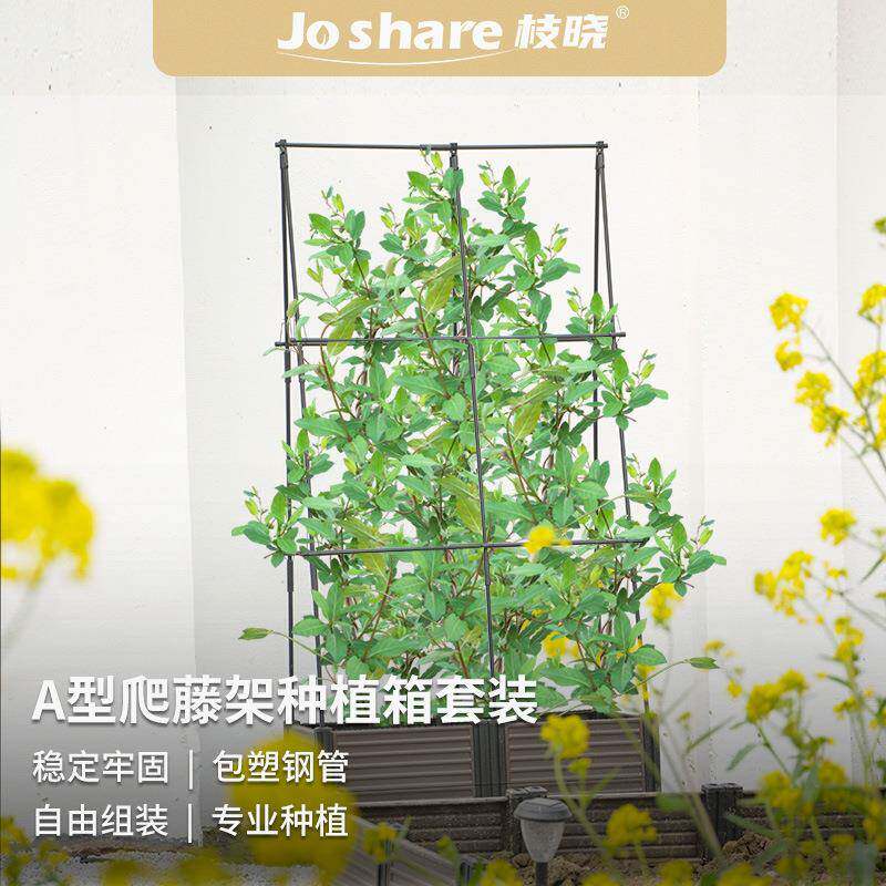 枝晓A型爬藤架种植箱套装瓜果蔬菜爬藤植物