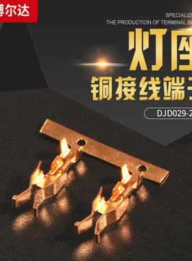 连绕端子DJD029-2铜接线端子灯座横带