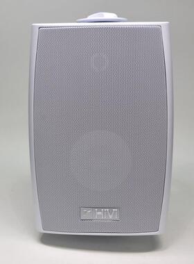 惠威VA5OS-T100定压音响会议背景音乐