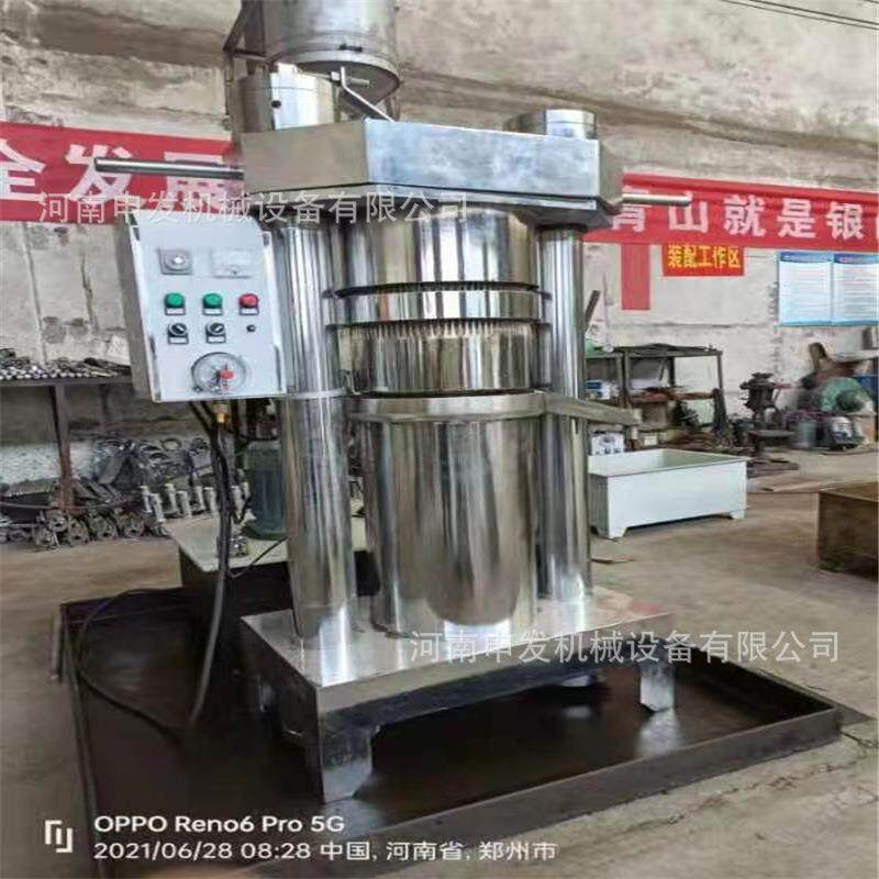 家用茶籽榨油机冷榨工艺山茶籽压油机230小型液压芝麻香油机