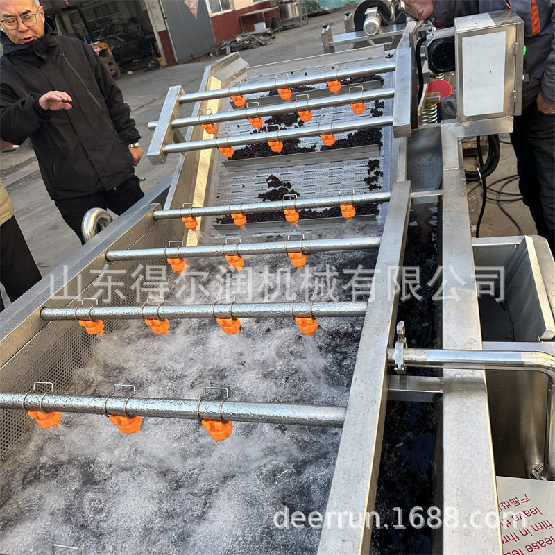 4500型蓝莓气泡清洗机 水果清洗风干流水线 循环水过滤使用 自动