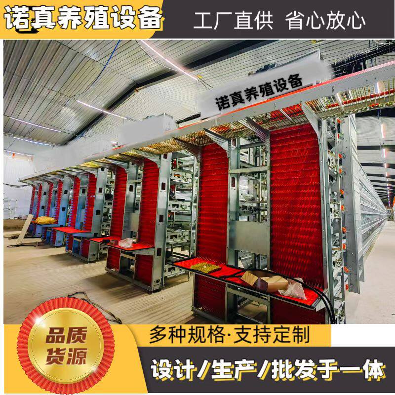 小层叠蛋鸡笼全自动化养鸡设备捡蛋清理机笼养系统多层养鸡专用