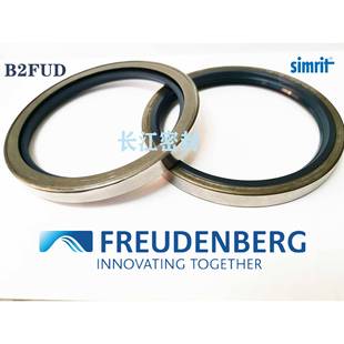 德国骨架油封CFW进口密封件B2U6115 140SIMRIT
