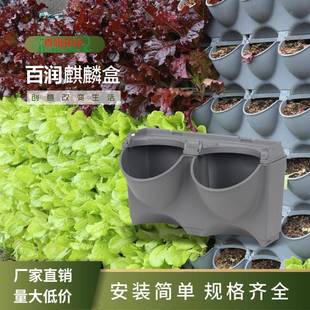 立体专用绿化植物种植盒室内组合壁挂式墙户外塑料花盆家庭园艺