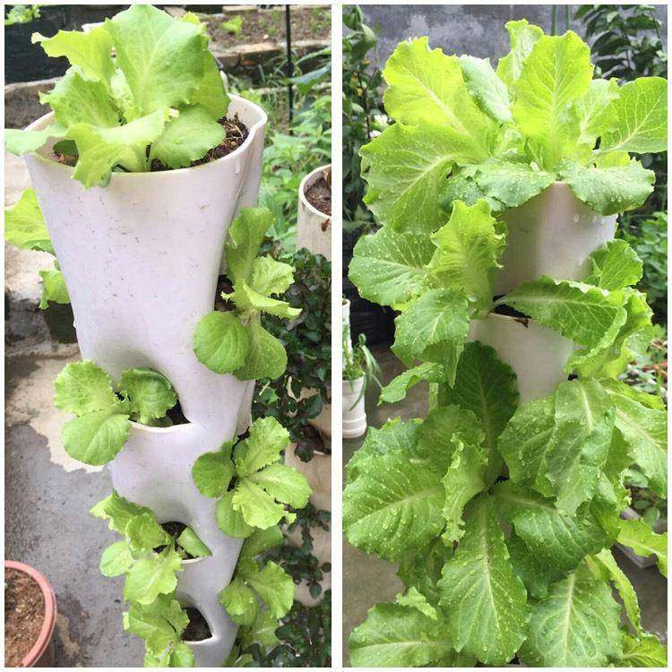 塑料管道种菜机管道种菜多层花架家中花园客厅柱式花盆种菜架子,纺织面料/辅料/配套,纺织机械配件,淘宝优惠券,粉丝福利购,淘宝优惠卷