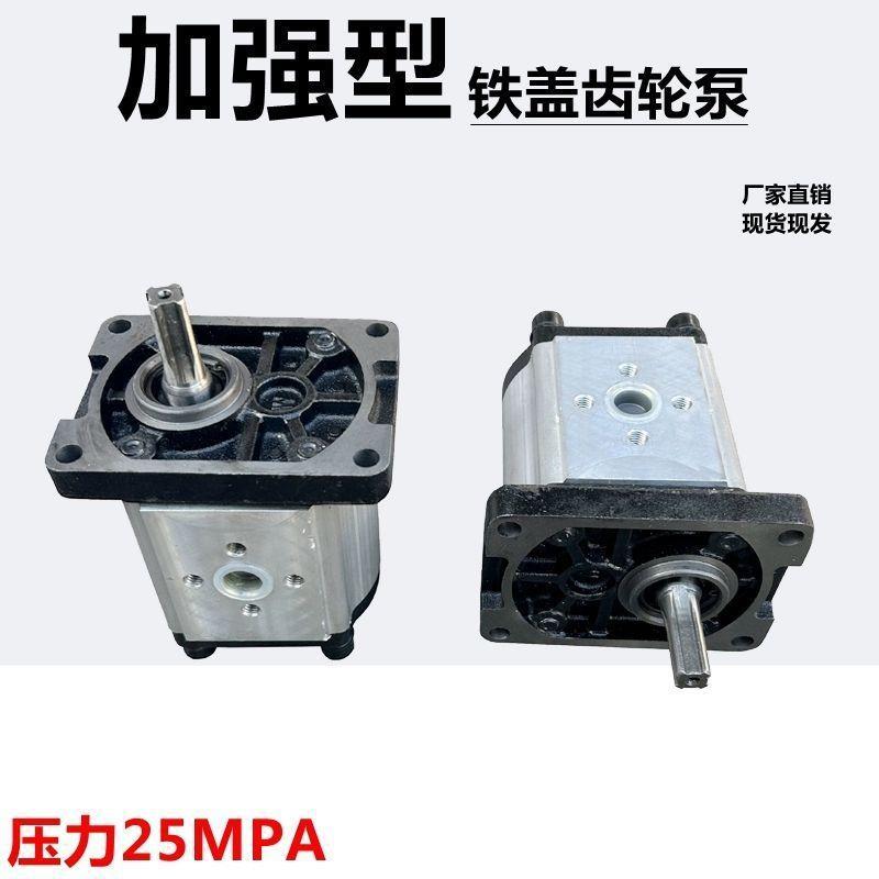 加强型液压油泵花键齿轮泵动力机306/310/314/316/20/25压力25MPA