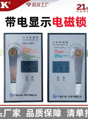 户内高压DSN-DM电磁锁带电显示适用开关配电柜中置环网柜福一开