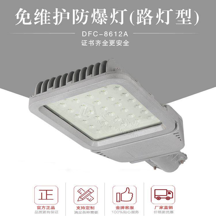 隔爆型ExdIIC80W100W120WLED防爆路灯6米至8米路灯头超亮防爆认证