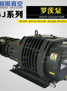鲍斯罗茨增压真空泵BSJ300L前级泵辅助泵互换莱宝WAU1001