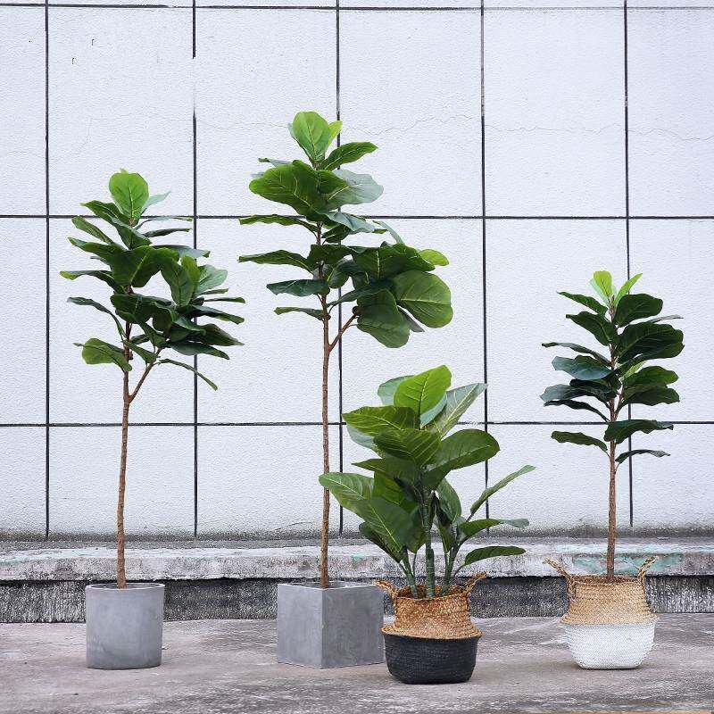 北欧仿真植物摆件客厅大型落地仿真树琴叶榕树绿植盆景可混