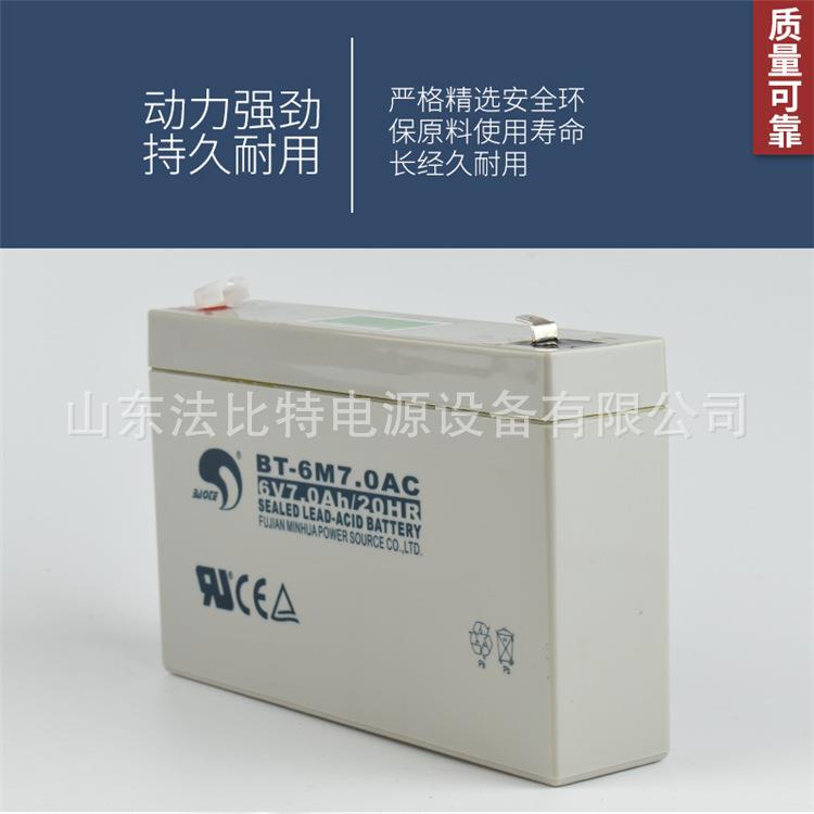 赛特电子秤蓄电池BT-6M7.0AC衡器6V7Ah电子吊秤质保1年