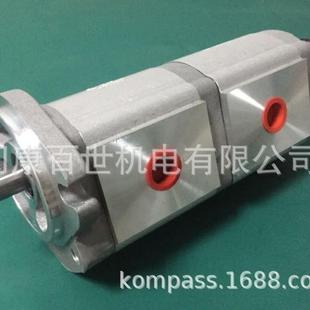 RHGP F88 F22RF66RF88RF44R新鸿HYDROMAX双联泵 22A HGP
