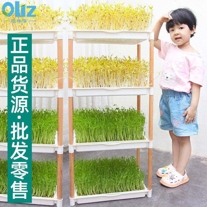 厂家芽菜苗苗托盘种植培架水培种菜盘无土栽D202发芽盆多功能育种