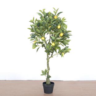 仿室植物带果带盆檬树001家居装饰绿植盆栽内仿真真柠柠檬树橘树