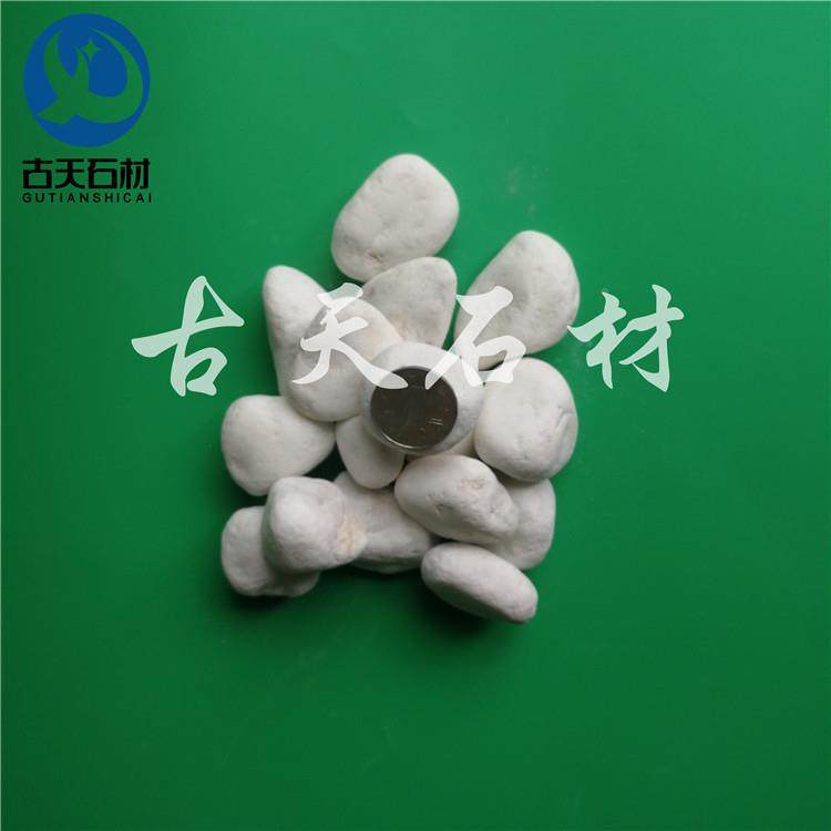 白色子花园用鹅小石卵石庭院铺路铺地白石头枯山水造GTB006景景观