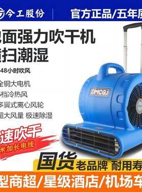 热风吹商地冷机大功率用型低噪音家用地65232板地毯吹干小机除湿