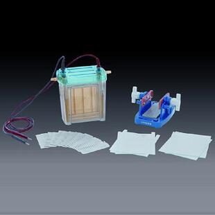 北京六一双垂直电泳仪注塑DYCZ-24EN用于蛋白凝胶电泳畅欧可票