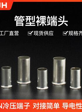 CJH紫铜EN25-12/16/18/30/35-16/50-12/18/20TG管型镀银裸端子