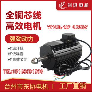 时进电机台州市东协电机YS100L-12P-0.75KW玻璃钢负压风机专用