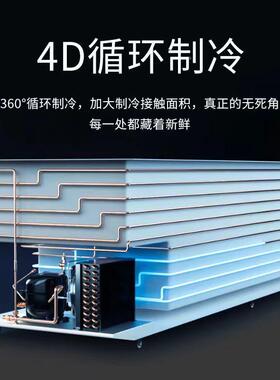 包邮冰全柜冷冻商用大管容量冷藏铜ZZ101258节能冷双冻柜单温温两