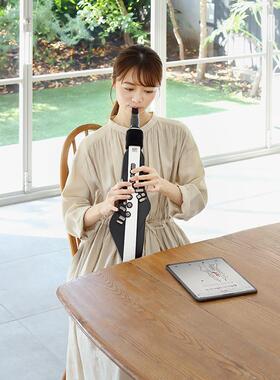 罗兰电吹E管AFEDE20AE30AE-05A-吹0罗1电吹管萨克斯兰电管