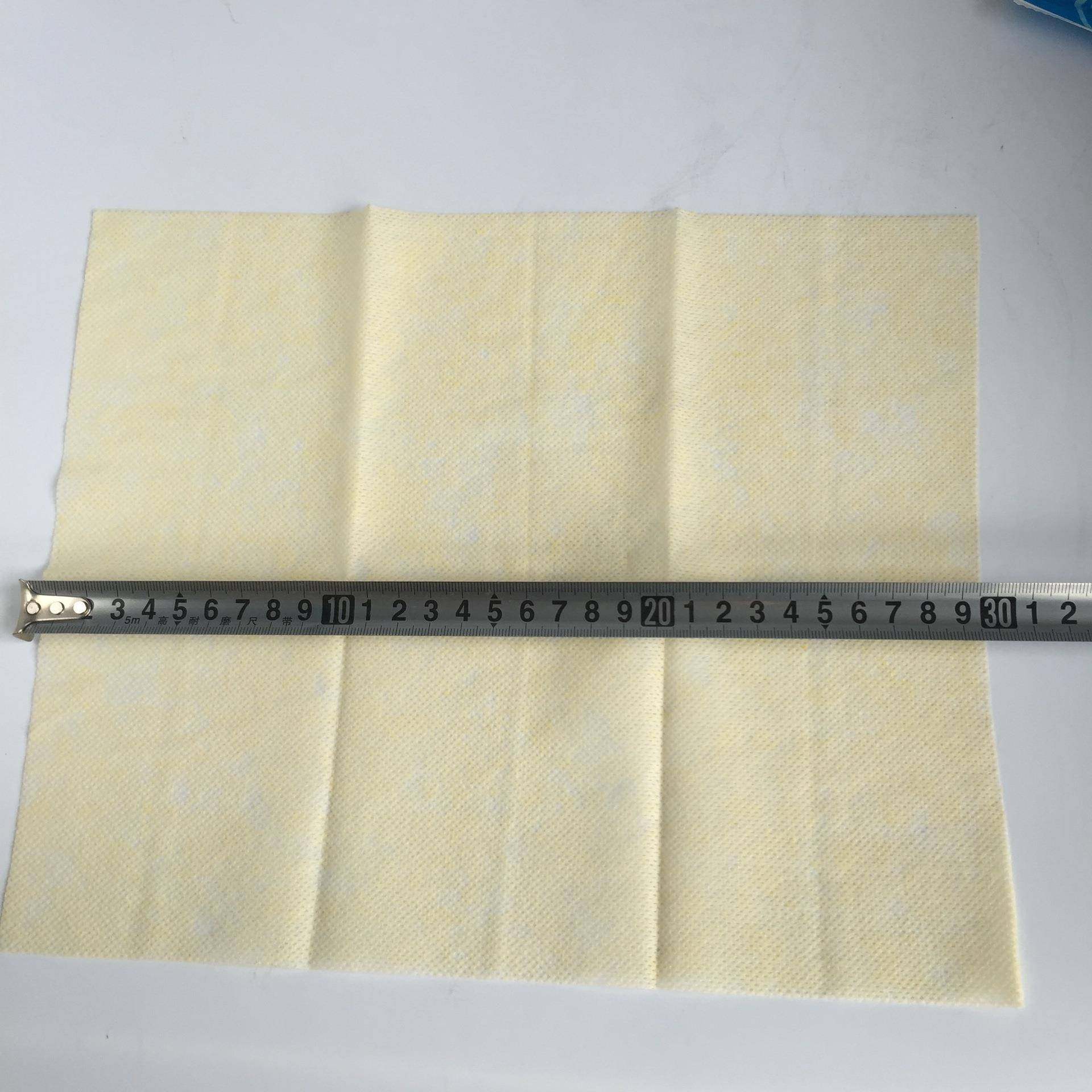 丽洁除尘布汽车35147业喷漆用抹尘擦拭布粘工尘无纺布快200片