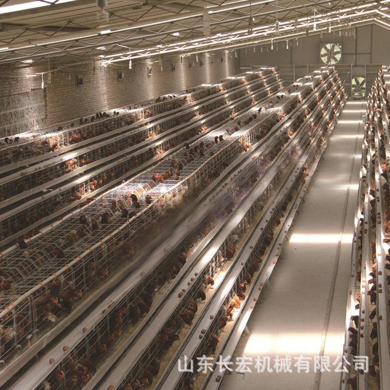 蛋鸡8810笼全动立动式鸽子笼鹌自鹑养殖育笼养殖场自雏喂料肉鸡笼