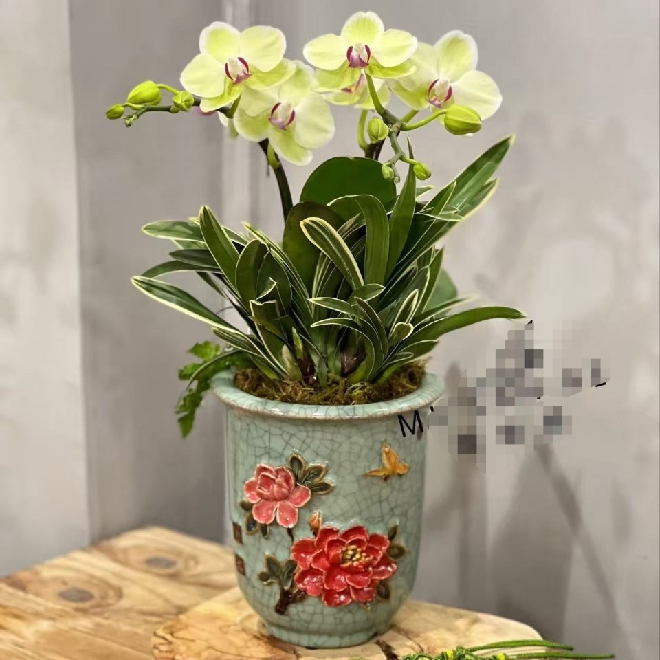 陶一峰 金钟贴花盆 石湾传统手工贴花盆 中式岭南园林客厅兰花盆