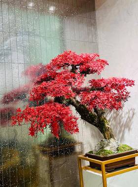 真松树新式红色迎客假树仿植物摆件客厅玄中松关装饰红88738枫绿