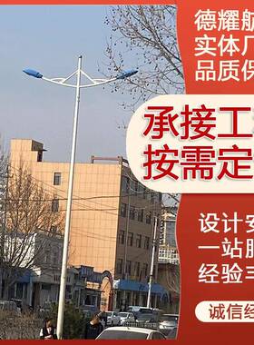 德臂耀路灯城市道路le002d路灯杆68米单双臂单头杆双头米路灯杆