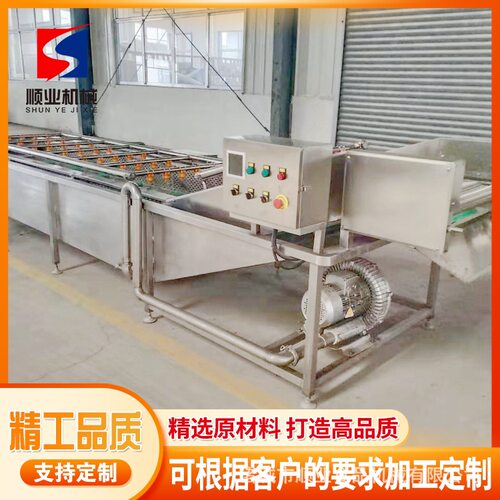 全自动蔬菜清洗机 多功能不锈钢气泡清洗机 大型果蔬喷淋式洗菜机