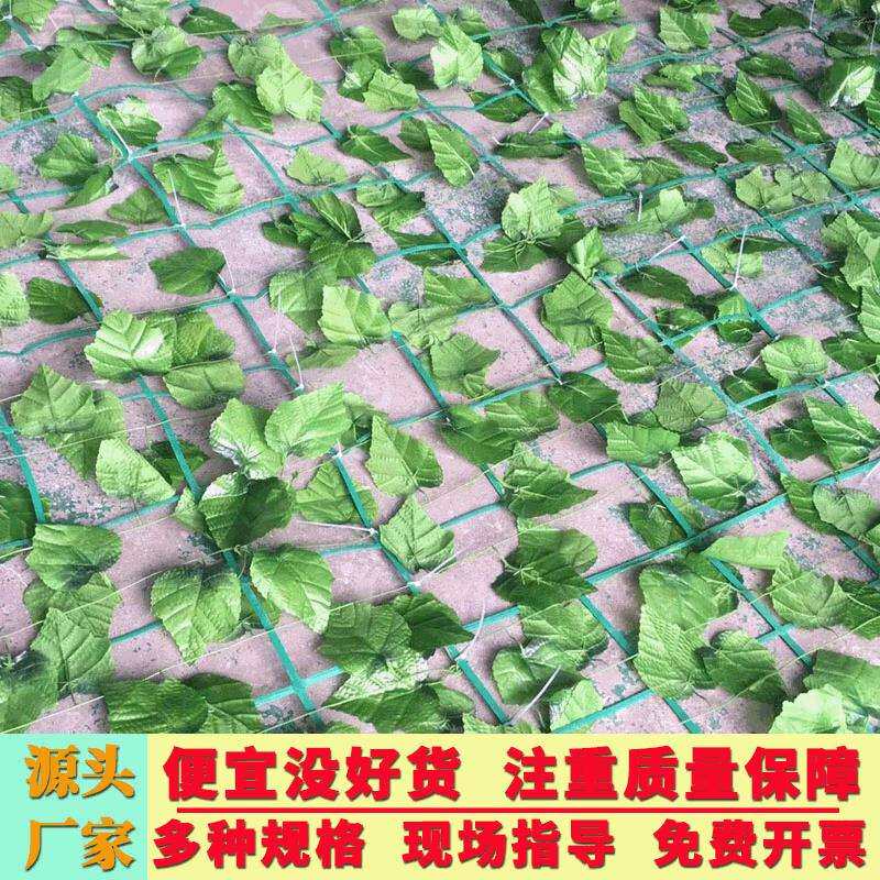 藤本植物网攀爬网直销绿化爬藤网大量现货