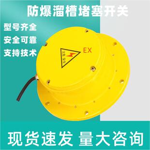 运输机堵料-X-TI-2堵料开关|火力发电厂专用A08-6B8A-561输煤堵煤
