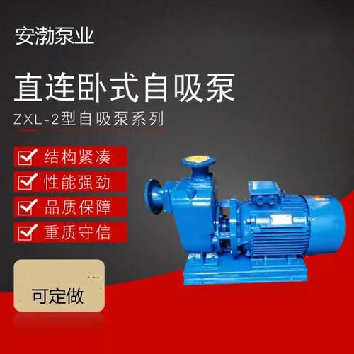 40ZXL10-40自吸泵自吸清水泵卧式自吸离心泵铸铁工业泵