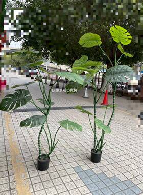 仿真龟背lj200盆树栽软龟背龟背叶大型室内竹装饰仿生绿植装造景