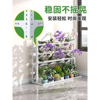 角钢蝴蝶兰花架置层物架移动兰花室外架子用多落地自由内ZXL调节