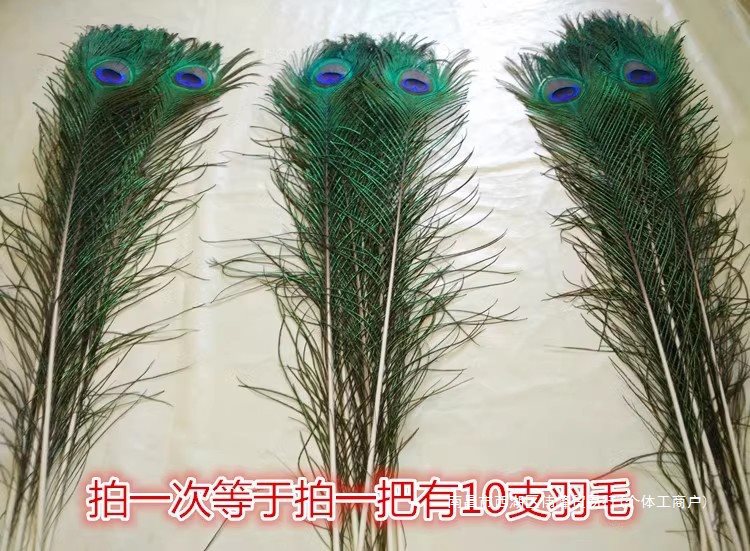 真孔雀羽毛花瓶摆件婚庆装饰