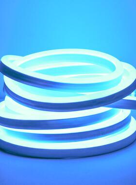 110v灯LS-DDL11带rle霓虹gb变色七彩跑马智能头氛围d柔性户外墙门