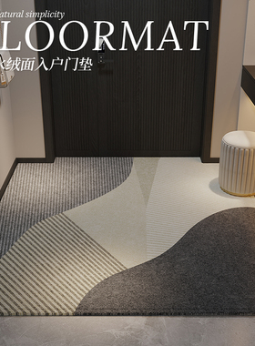轻奢高级感入户门地垫防水防污耐脏门口地毯门垫进门脚垫子可裁剪