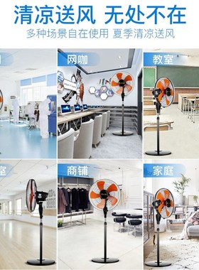 日彩落地扇18寸纯铜线电风扇家用仓库商用台式大功率FS45-1摇头