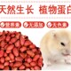仓鼠零食红皮花生粮食主粮磨牙金丝熊鹦鹉鸟粮食饲料用品罐装