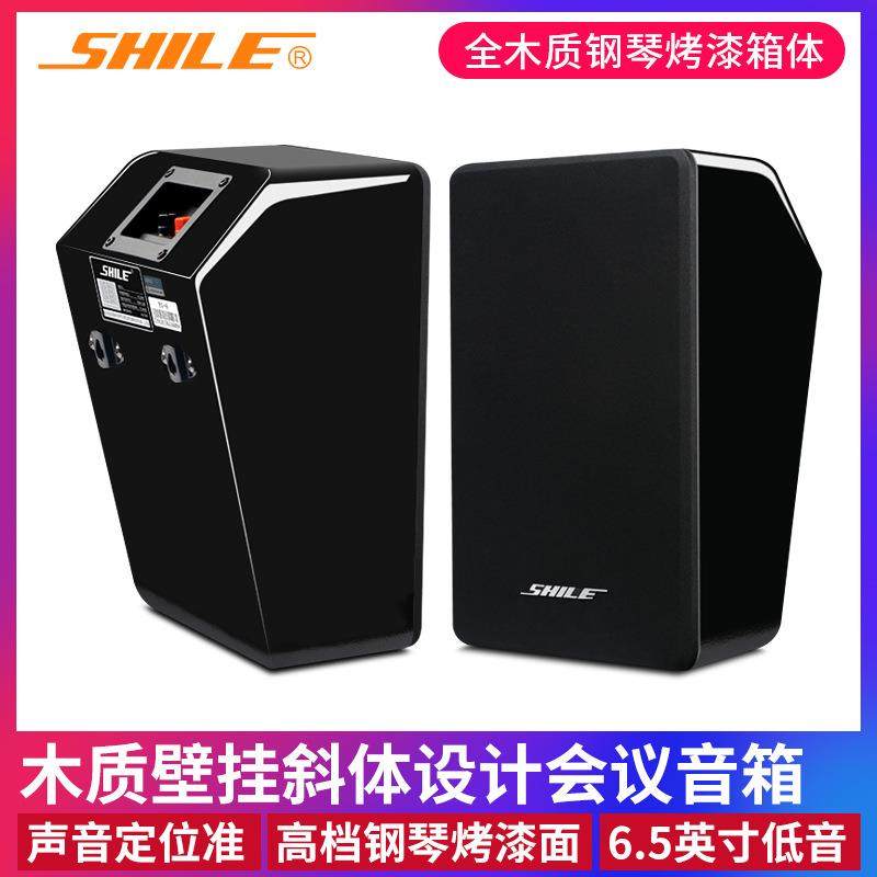 狮乐BG-6会议专业音箱背景音乐6.5寸影院壁挂倾斜式音响设备