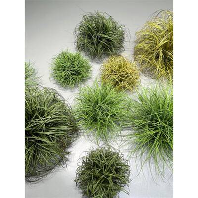 假草草仿真草狗尾室蒲植物OPS造景小草假芦苇草塑料微景内观草丛