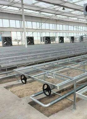 移动育苗床苗床移温室苗动床固定苗床花卉蔬菜植热镀锌网片DGP苗