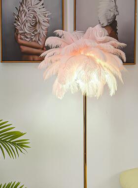 1.6米北欧落地49464灯ins风带客灯盘厅羽毛落地灯厅卧餐室欧式羽