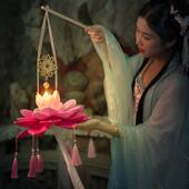 元 提宵手工宫制作手莲花荷花BHB灯笼表演走秀宫灯汉服拍道照具灯