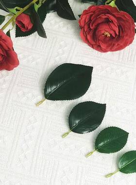 仿真茶花叶射骨仿片玫瑰叶单仿丝真花真树花绢花叶OQZ子配件材料