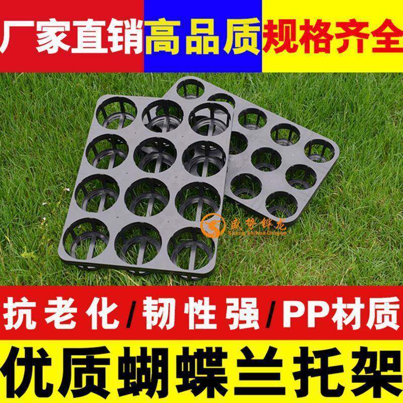 12孔15孔穴盘托盘花卉育苗盆托架塑料托盘育苗穴盘蝴蝶兰托盘