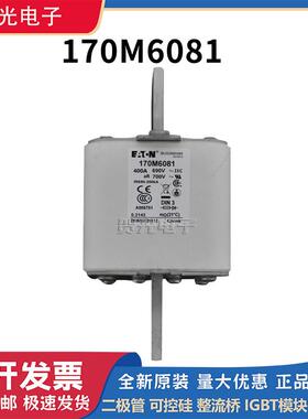 巴斯曼快速熔断器170M6081/170M6500/170M6540/170M8650原装进口